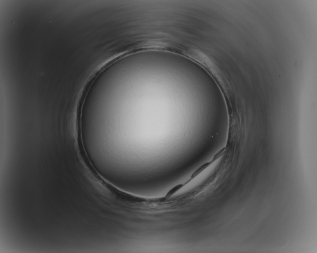 X0000089360795200706291040