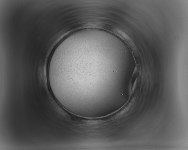 X0000089360796200706291040