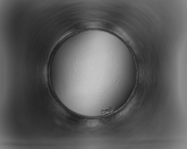 X0000089360798200706291040