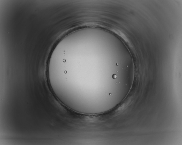 X0000089360799200706291040