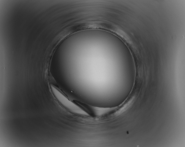 X0000089360801200706291040