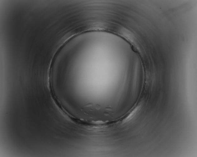 X0000089360802200706291040