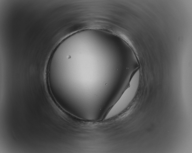 X0000089360803200706291040