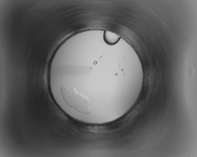 X0000089360804200706291040