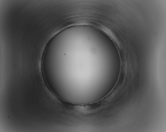 X0000089360805200706291040