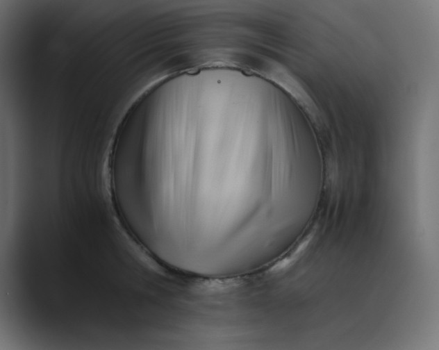 X0000089360806200706291040