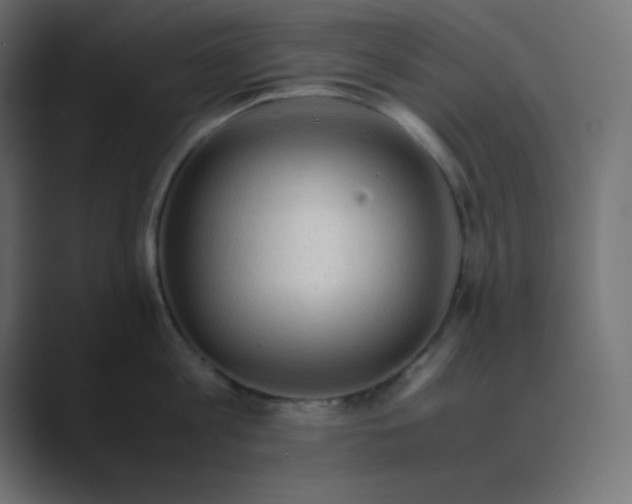 X0000089360813200706291040