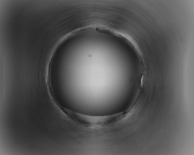 X0000089360815200706291040