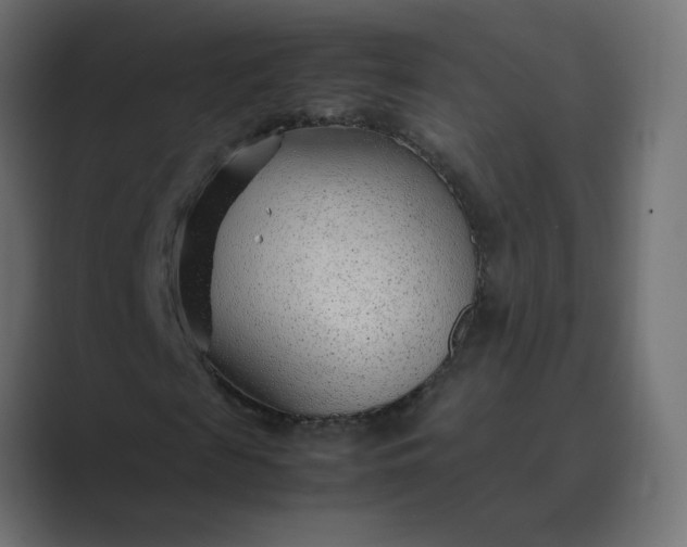 X0000089360817200706291039