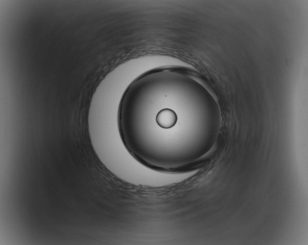 X0000089360818200706291039