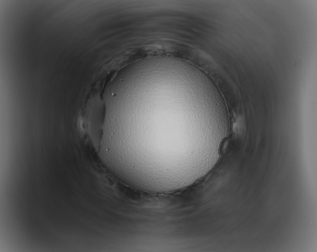 X0000089360819200706291039