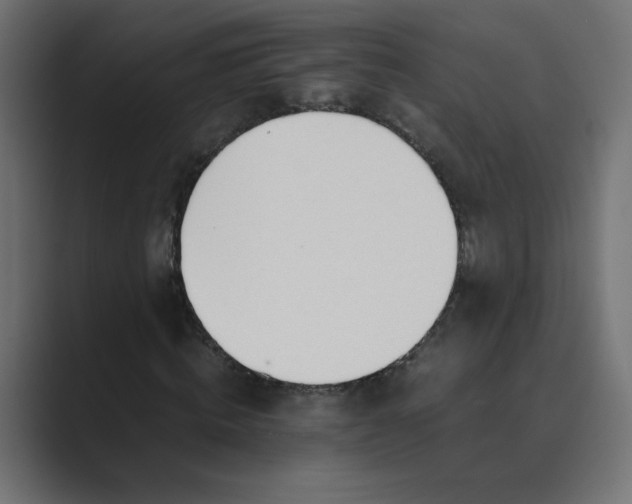 X0000089360820200706291039