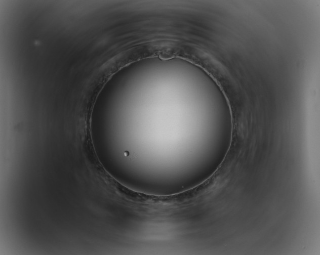 X0000089360821200706291039