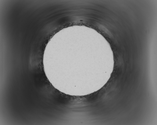 X0000089360824200706291039