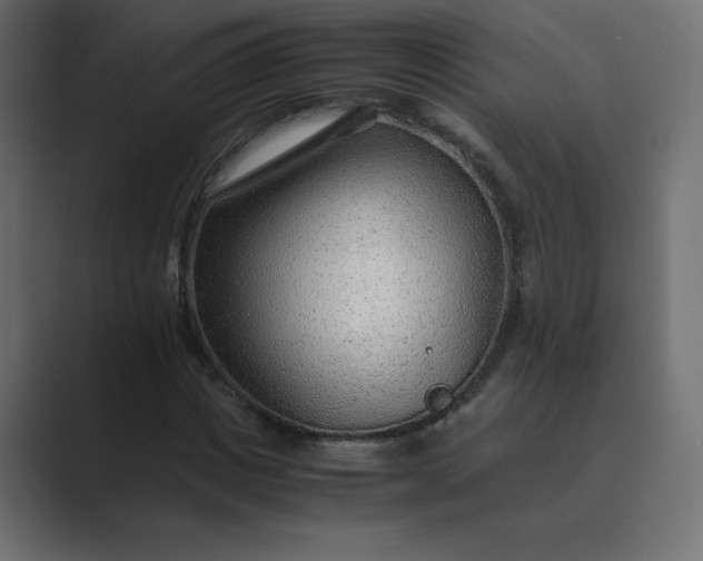 X0000089360825200706291039