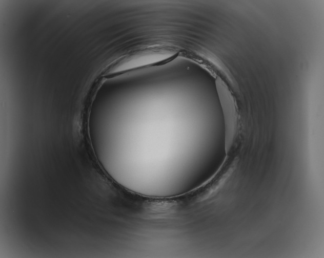 X0000089360826200706291039