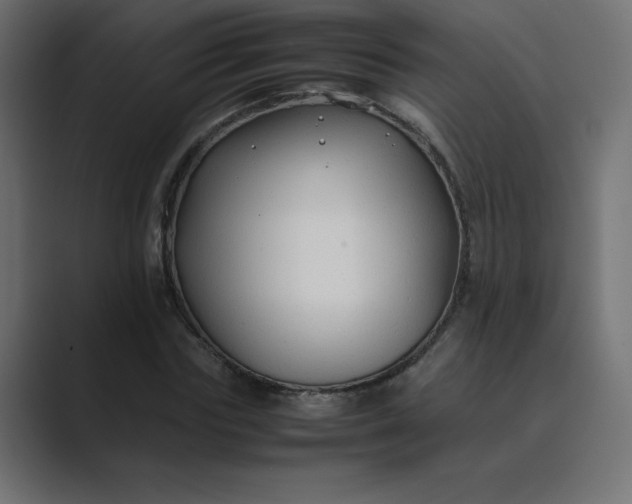 X0000089360827200706291039