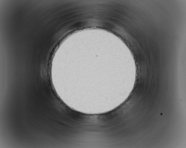 X0000089360828200706291039