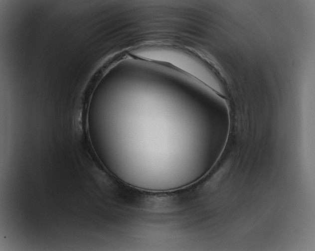 X0000089360830200706291040