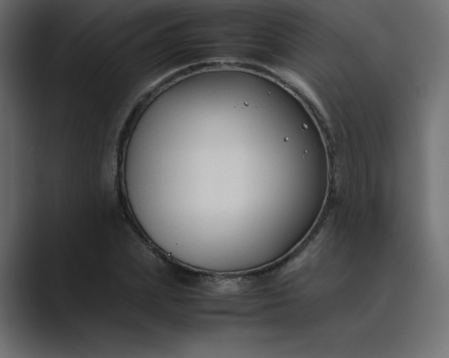 X0000089360831200706291040