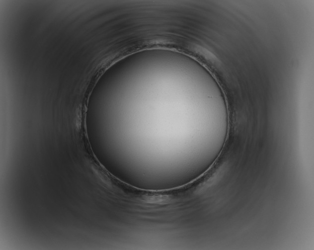 X0000089360833200706291040