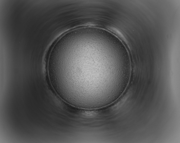 X0000089360835200706291040