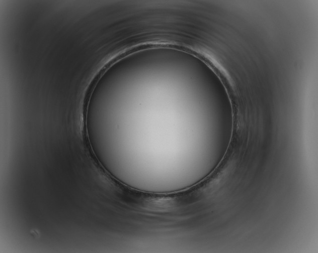 X0000089360837200706291040