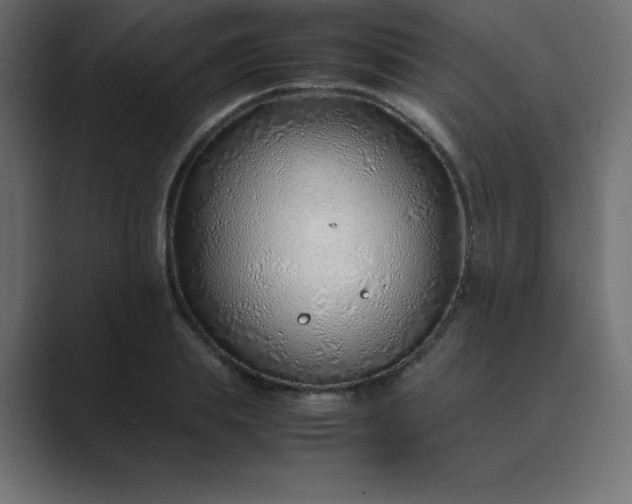 X0000089360839200706291040