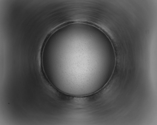 X0000089360840200706291040