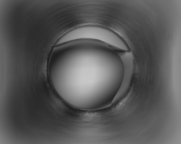 X0000089360842200706291040