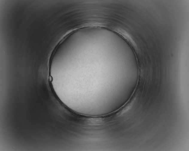 X0000089360844200706291040