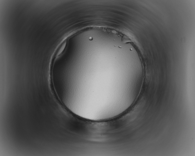 X0000089360845200706291040