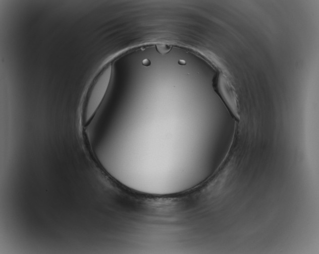 X0000089360846200706291040