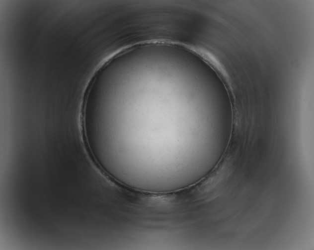 X0000089360847200706291040