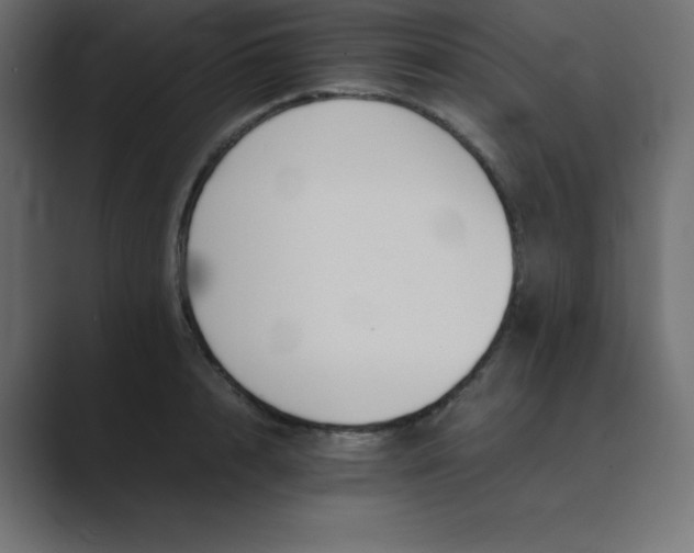 X0000089360848200706291040