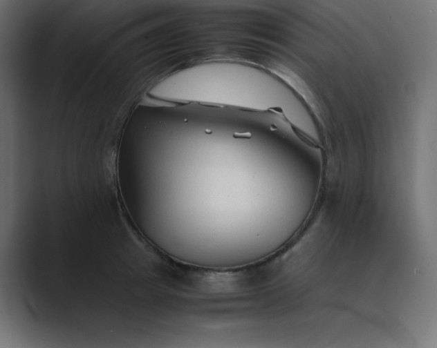 X0000089360849200706291040