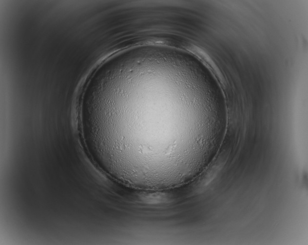 X0000089360851200706291040