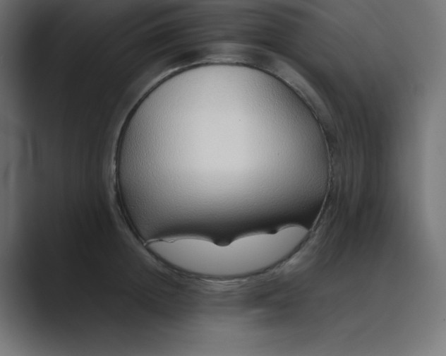 X0000089360852200706291040