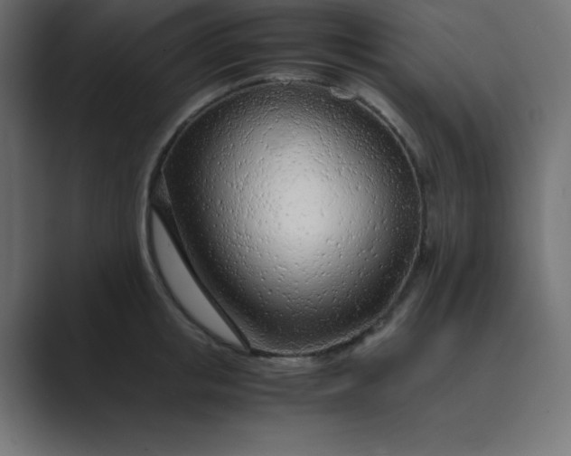 X0000089360853200706291040