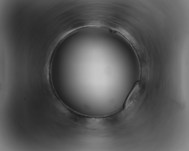 X0000089360854200706291040