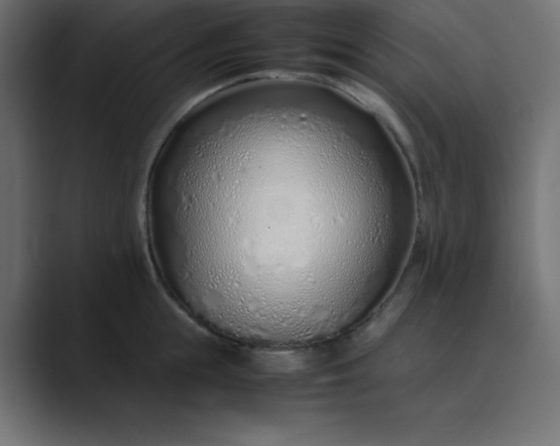 X0000089360855200706291040