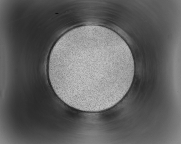 X0000089360856200706291040