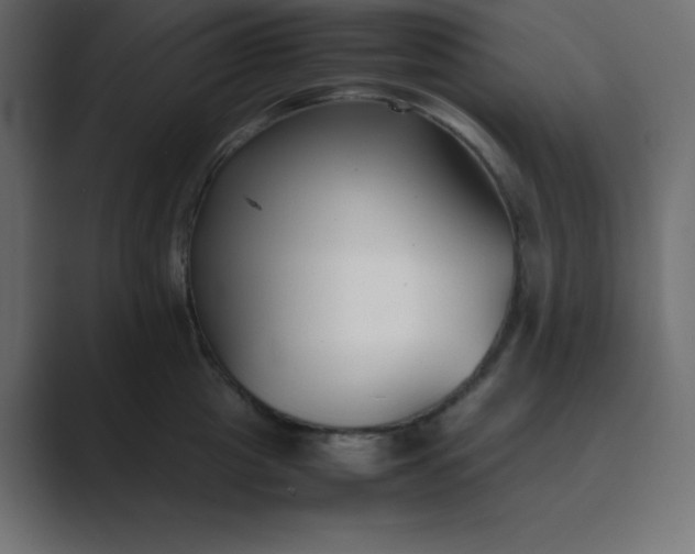 X0000089360857200706291040