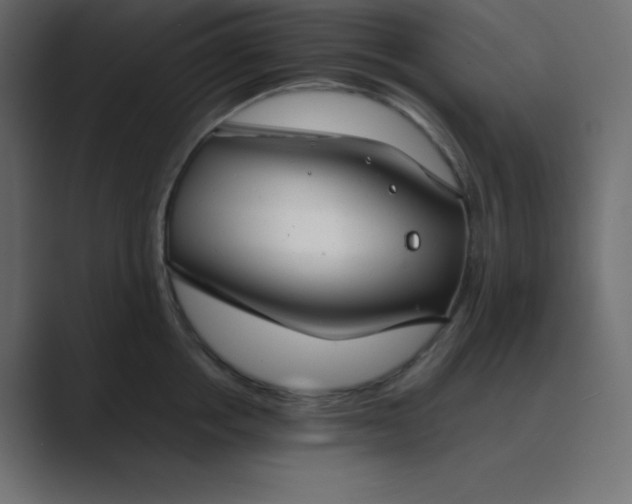 X0000089360858200706291040