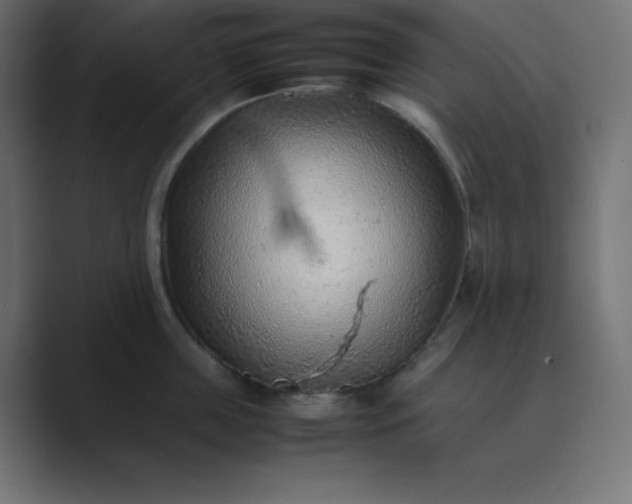 X0000089360859200706291040