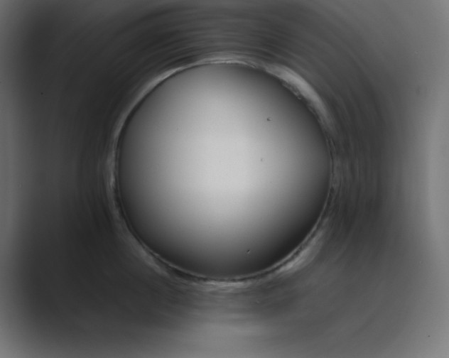 X0000089360860200706291040