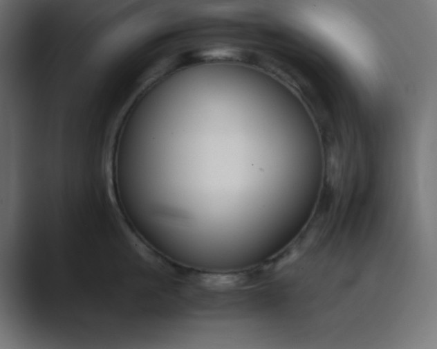 X0000089360861200706291040