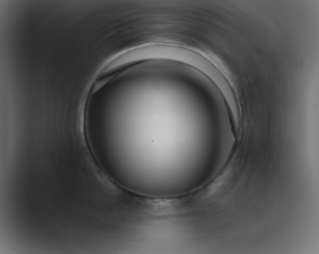 X0000089360862200706291040