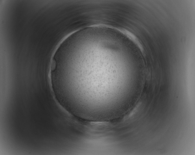 X0000089360863200706291040