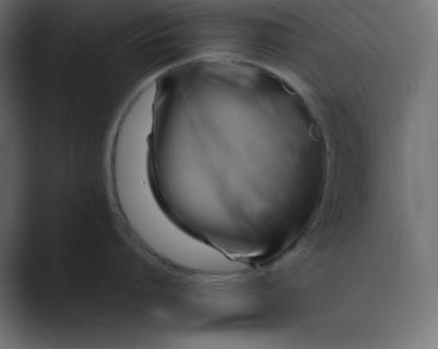 X0000089360864200706291040